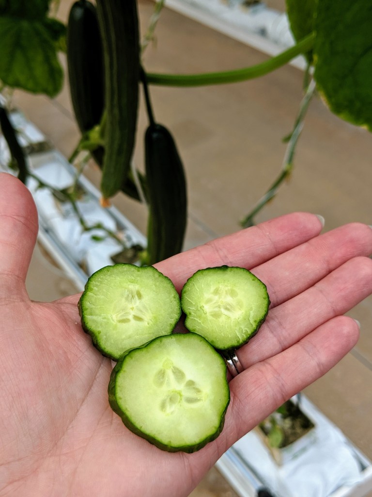 00000PORTRAIT_00000_BURST20190517164436830