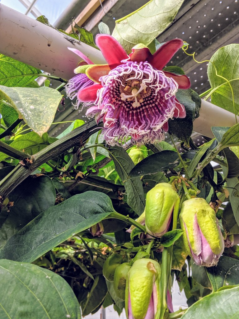 00000PORTRAIT_00000_BURST20190517165545983