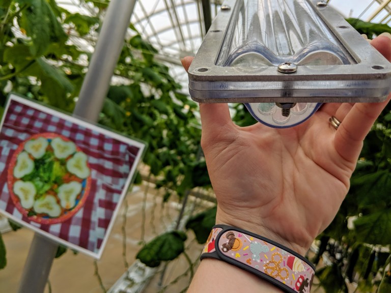 Mickey Head shaped cucumber mold